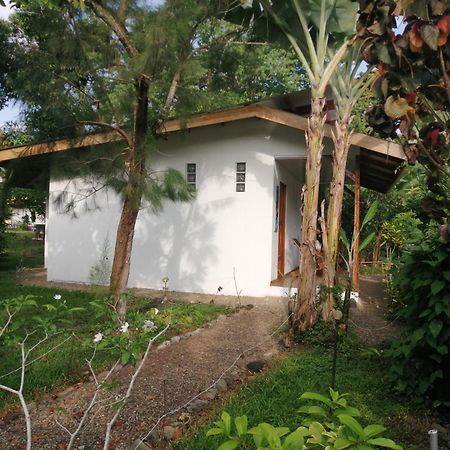 Cabinas Los Tucanes Кауита Экстерьер фото
