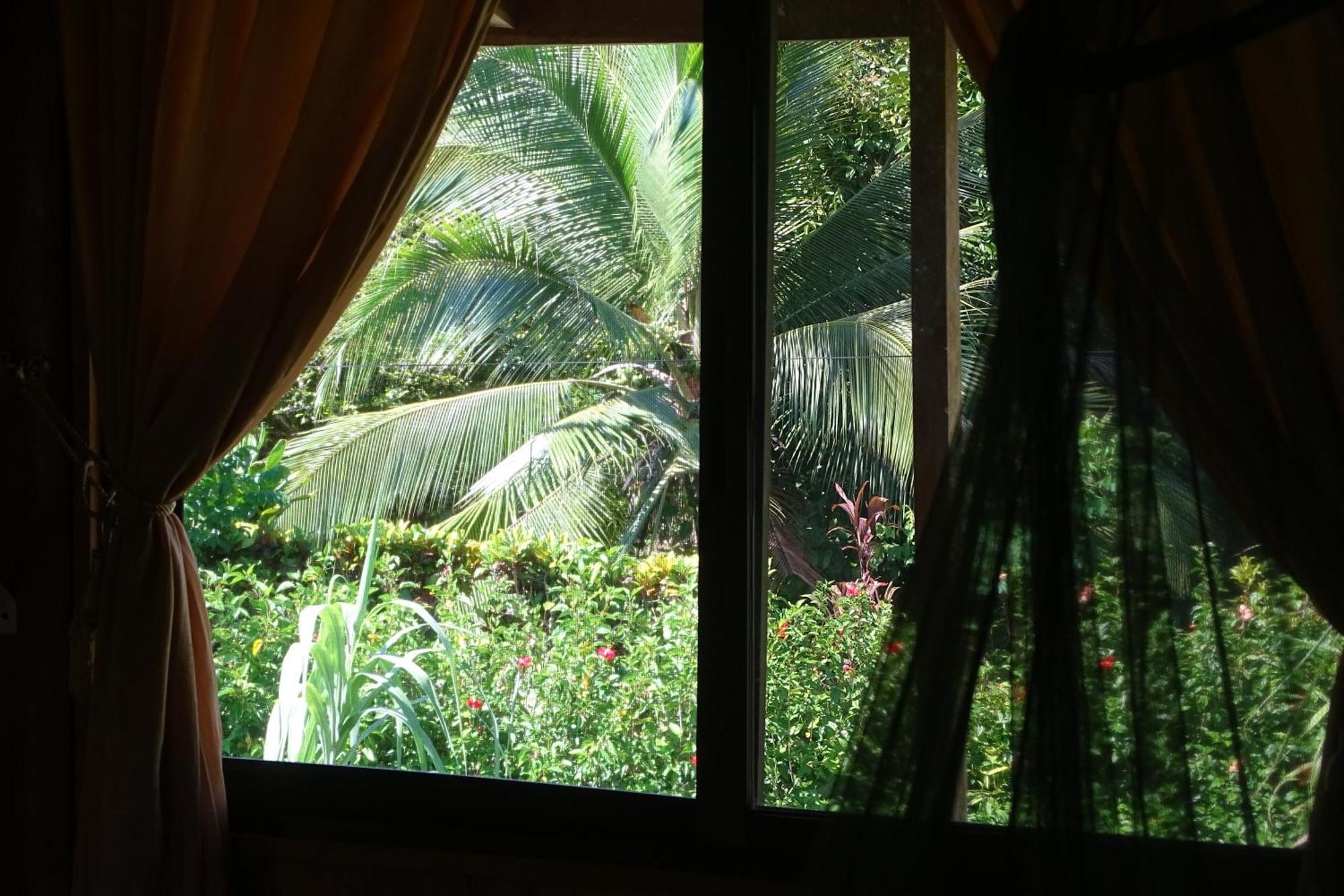 Cabinas Los Tucanes Кауита Экстерьер фото