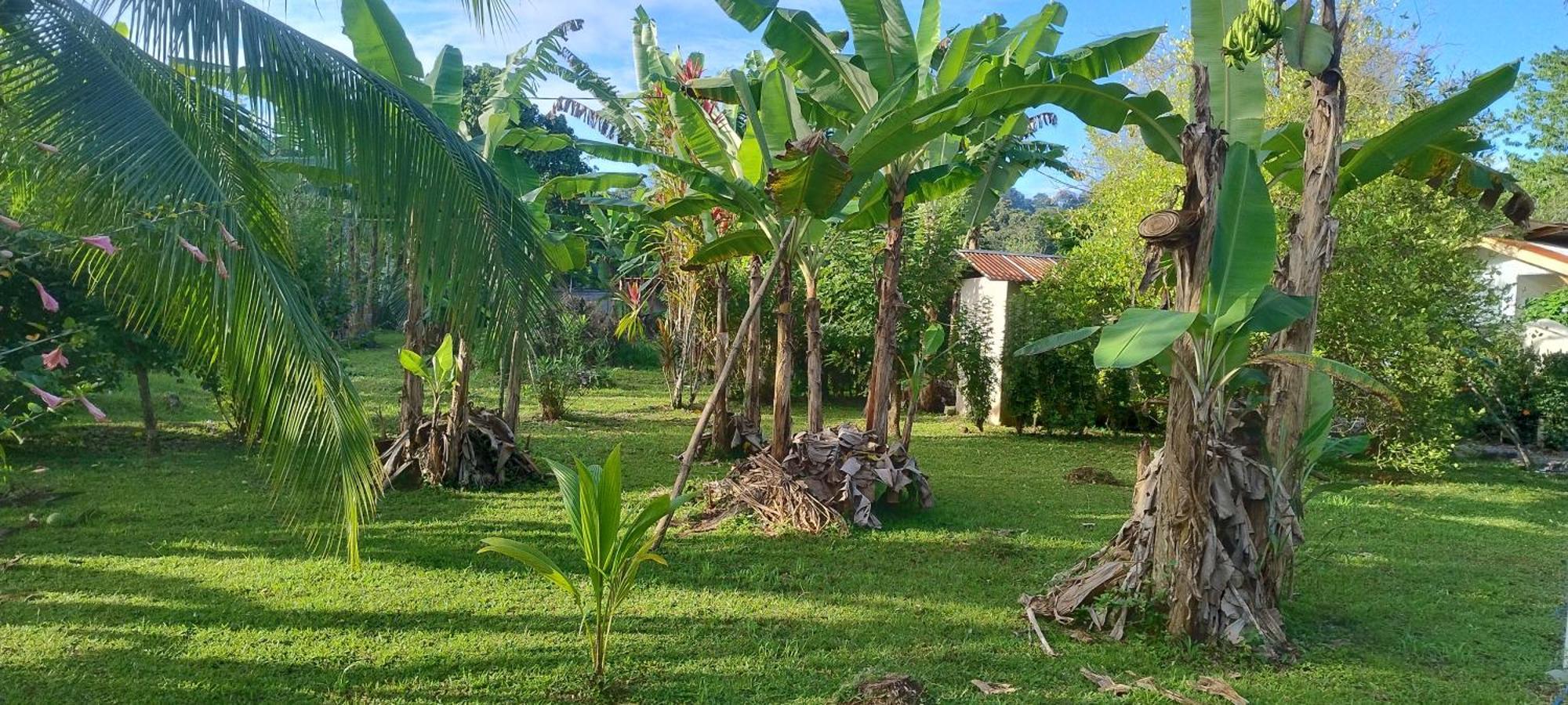 Cabinas Los Tucanes Кауита Экстерьер фото